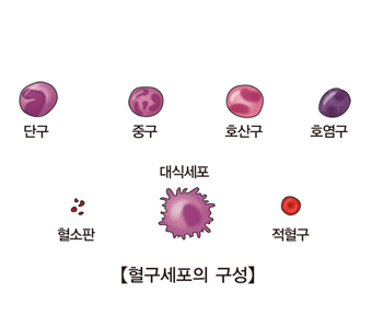 백혈병